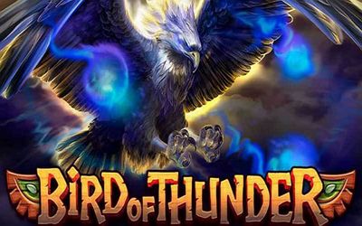 Bird of Thunder slot machine. 